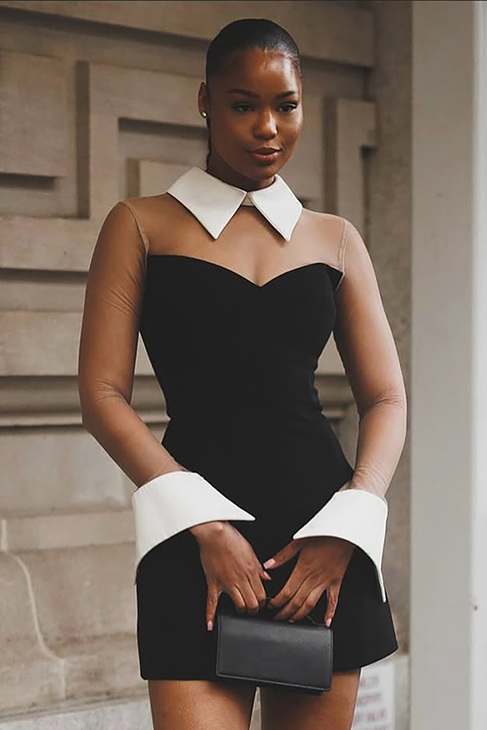 Mesh Patchwork Turndown Collar Long Sleeve Fitted Mini Dresses-Black