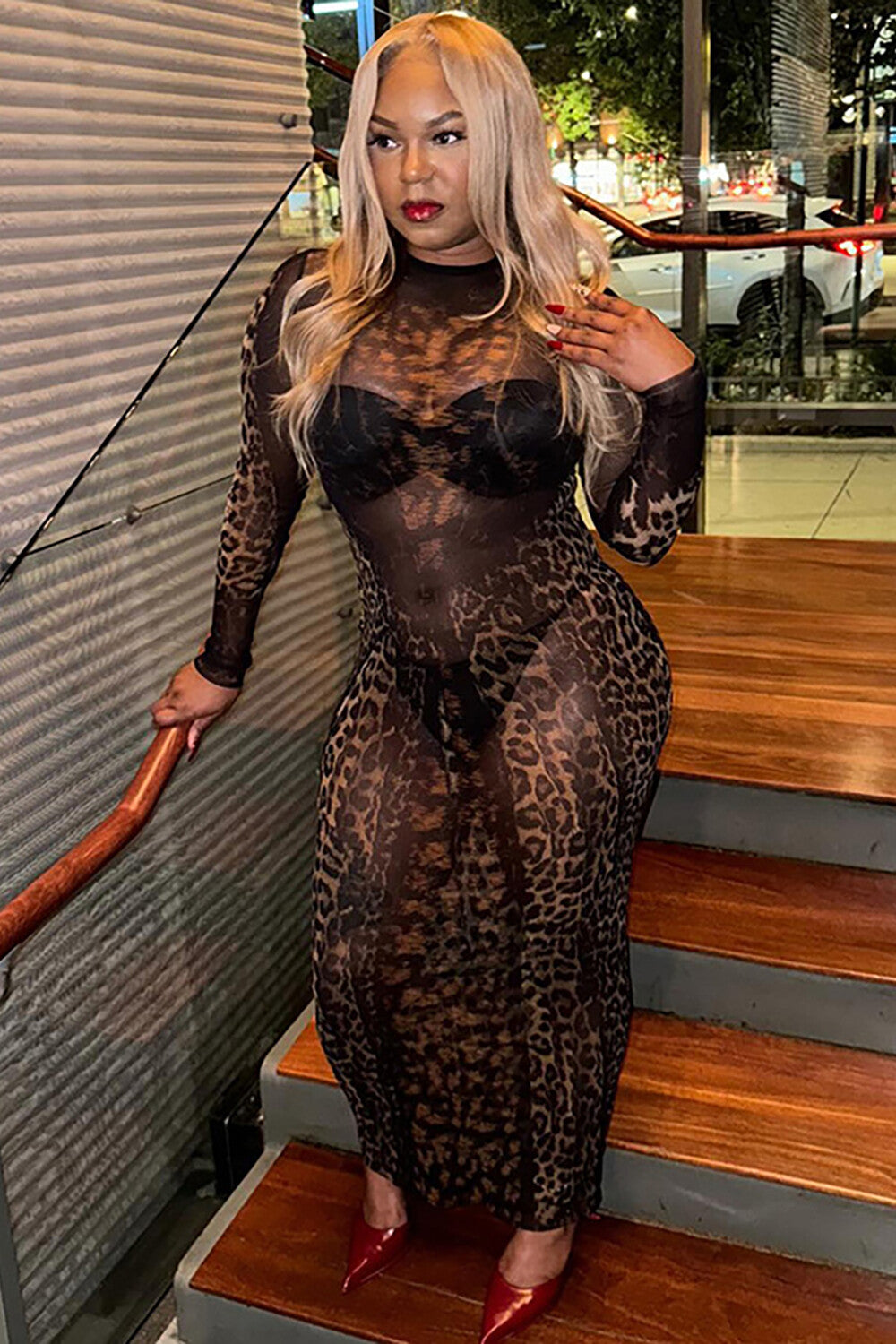 Leopard Print Round Neck Long Sleeve See Through Midi Dresses-Black